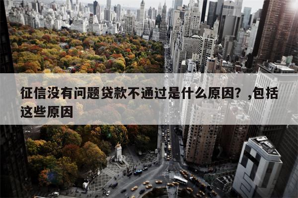 征信没有问题贷款不通过是什么原因？,包括这些原因