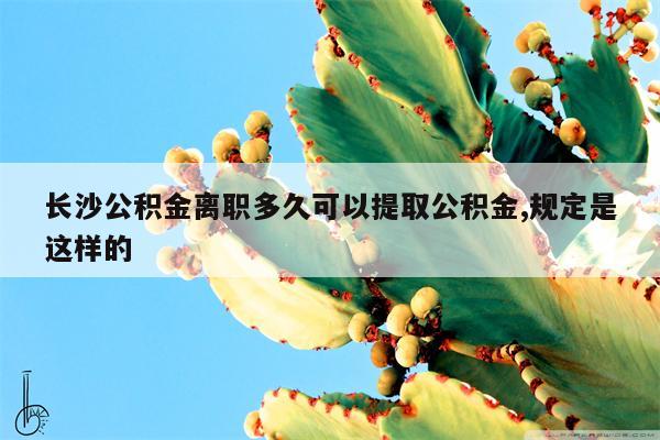 长沙公积金离职多久可以提取公积金,规定是这样的