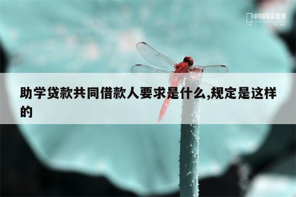 助学贷款共同借款人要求是什么,规定是这样的