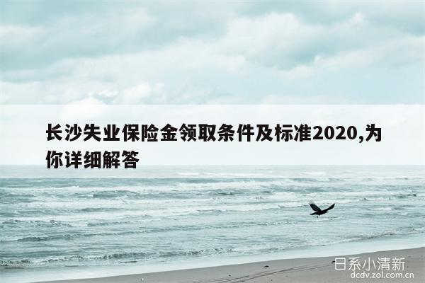 长沙失业保险金领取条件及标准2020,为你详细解答