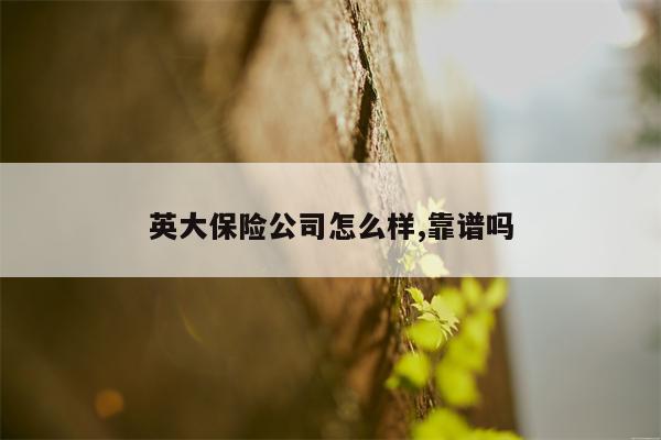 英大保险公司怎么样,靠谱吗