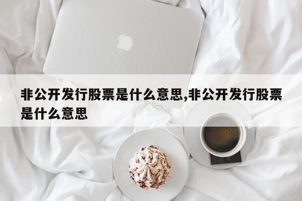 非公开发行股票是什么意思,非公开发行股票是什么意思