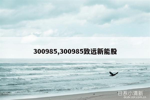 300985,300985致远新能股