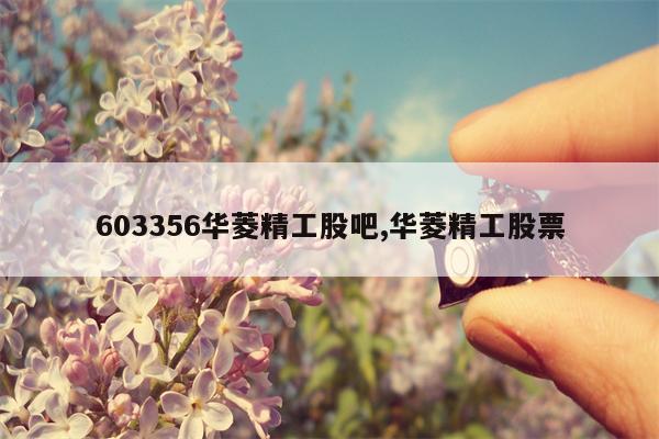 603356华菱精工股吧,华菱精工股票