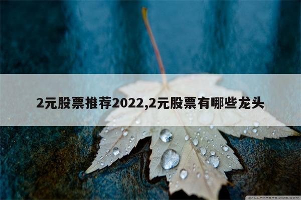 2元股票推荐2022,2元股票有哪些龙头