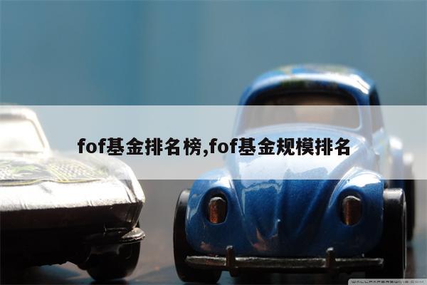 fof基金排名榜,fof基金规模排名