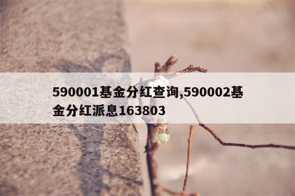 590001基金分红查询,590002基金分红派息163803