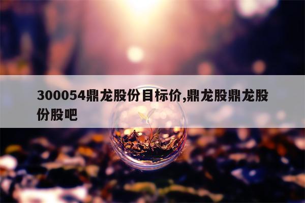 300054鼎龙股份目标价,鼎龙股鼎龙股份股吧