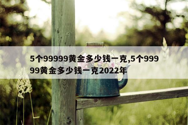 5个99999黄金多少钱一克,5个99999黄金多少钱一克2022年