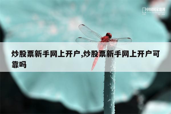 炒股票新手网上开户,炒股票新手网上开户可靠吗