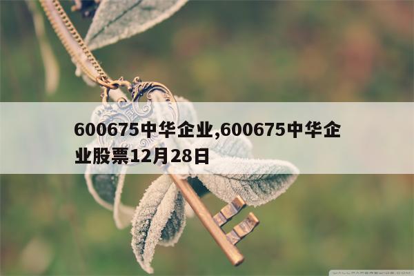 600675中华企业,600675中华企业股票12月28日