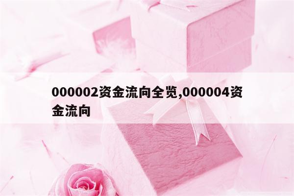 000002资金流向全览,000004资金流向