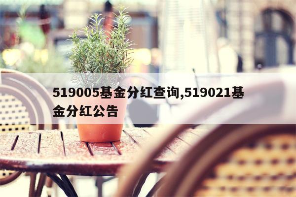 519005基金分红查询,519021基金分红公告