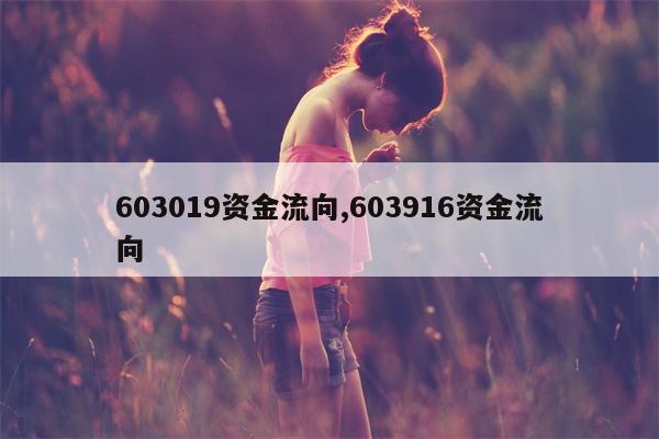 603019资金流向,603916资金流向