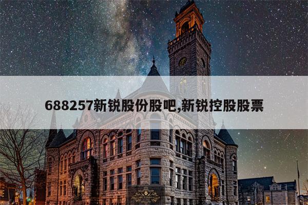 688257新锐股份股吧,新锐控股股票