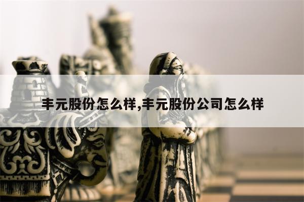 丰元股份怎么样,丰元股份公司怎么样