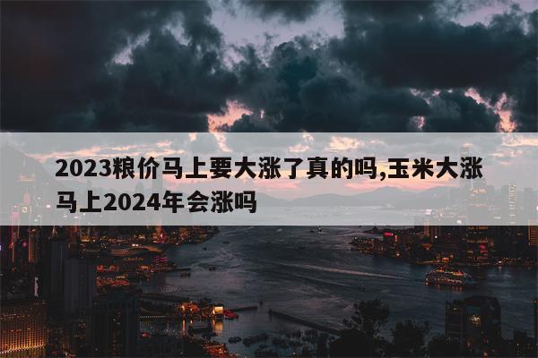 2023粮价马上要大涨了真的吗,玉米大涨马上2024年会涨吗