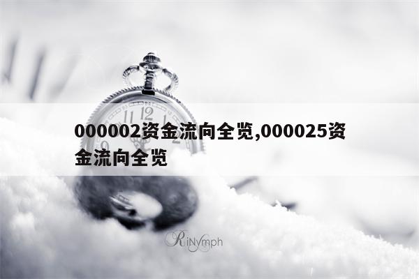 000002资金流向全览,000025资金流向全览