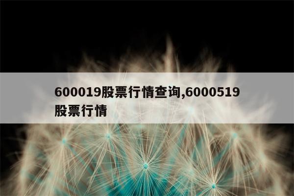 600019股票行情查询,6000519股票行情