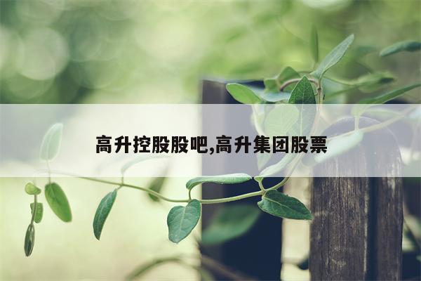 高升控股股吧,高升集团股票