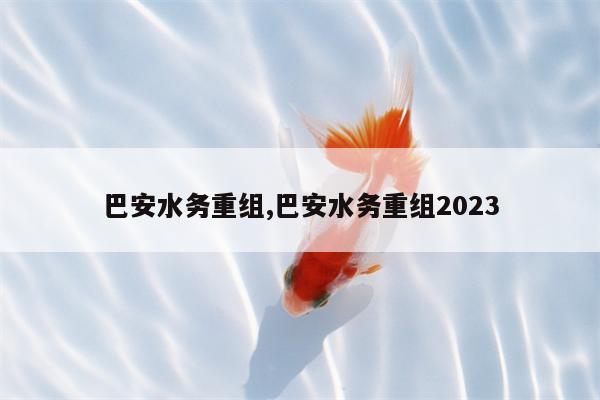 巴安水务重组,巴安水务重组2023