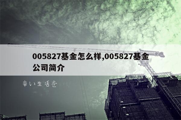 005827基金怎么样,005827基金公司简介