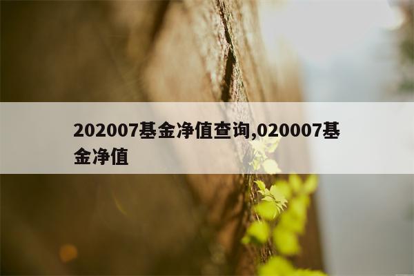 202007基金净值查询,020007基金净值