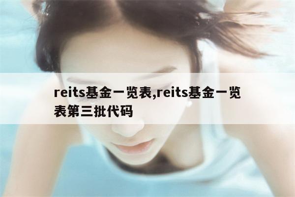 reits基金一览表,reits基金一览表第三批代码