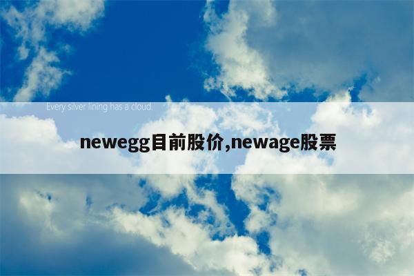 newegg目前股价,newage股票