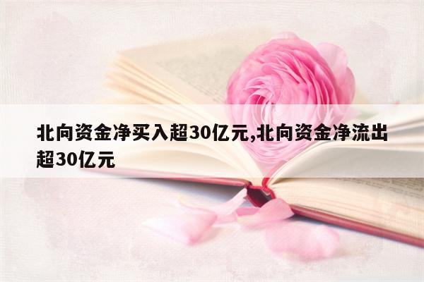 北向资金净买入超30亿元,北向资金净流出超30亿元