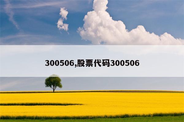 300506,股票代码300506