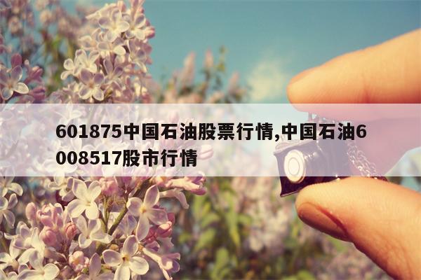 601875中国石油股票行情,中国石油6008517股市行情