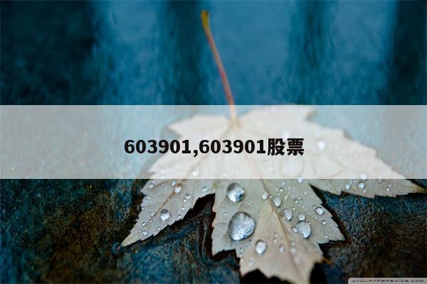 603901,603901股票