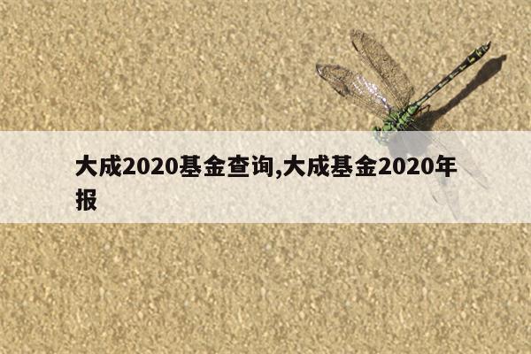 大成2020基金查询,大成基金2020年报