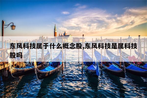 东风科技属于什么概念股,东风科技是属科技股吗