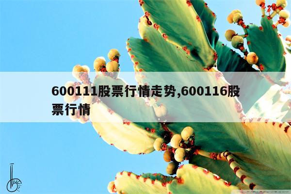 600111股票行情走势,600116股票行情