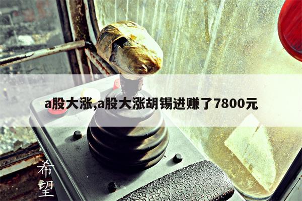 a股大涨,a股大涨胡锡进赚了7800元