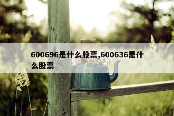 600696是什么股票,600636是什么股票