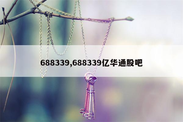 688339,688339亿华通股吧