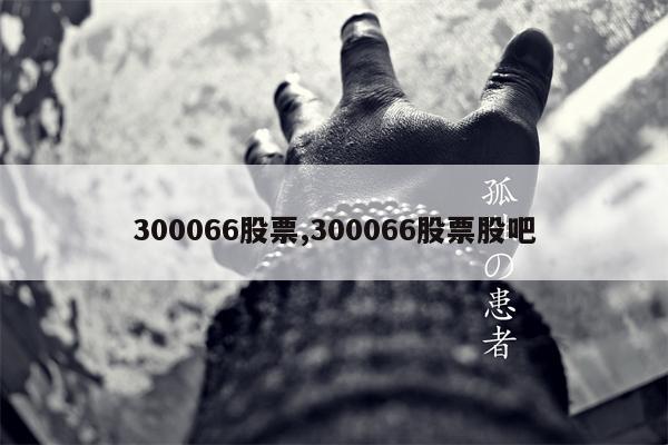 300066股票,300066股票股吧