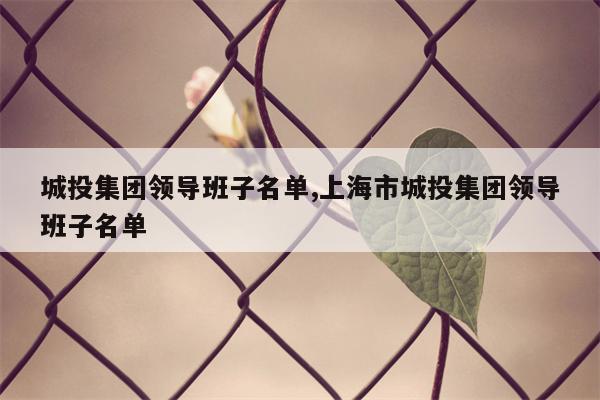 城投集团领导班子名单,上海市城投集团领导班子名单