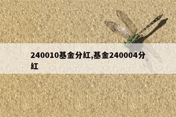 240010基金分红,基金240004分红