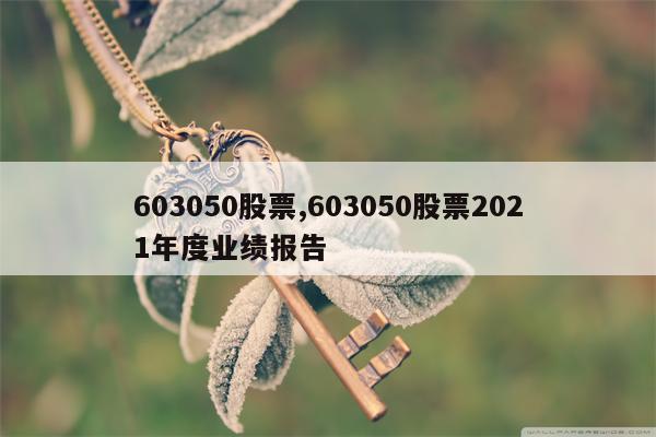 603050股票,603050股票2021年度业绩报告