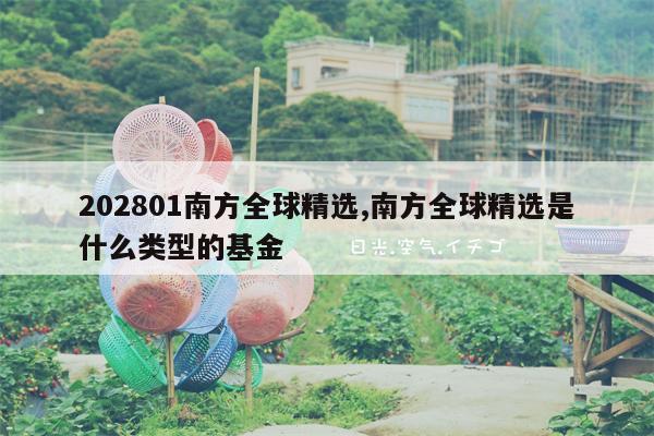 202801南方全球精选,南方全球精选是什么类型的基金