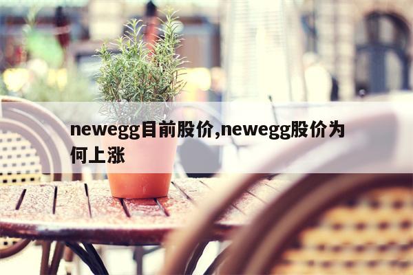 newegg目前股价,newegg股价为何上涨