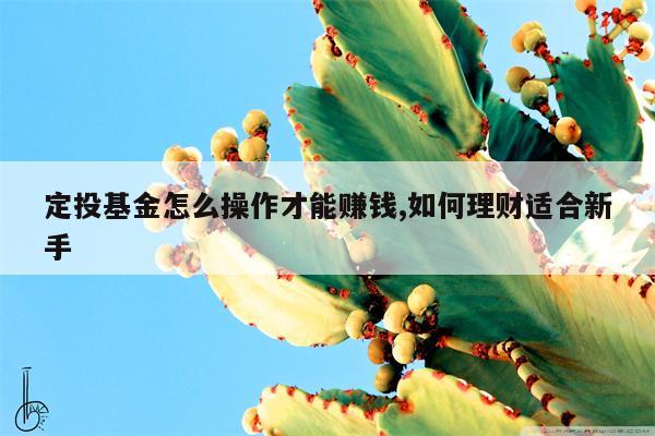 定投基金怎么操作才能赚钱,如何理财适合新手