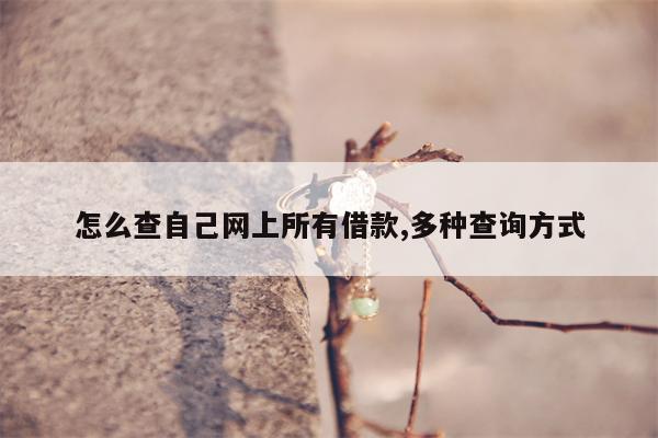 怎么查自己网上所有借款,多种查询方式