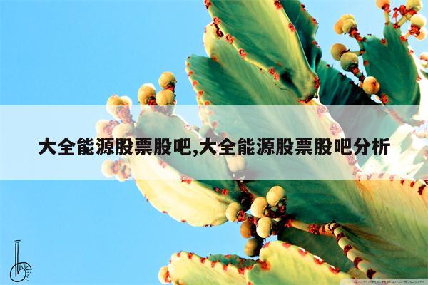 大全能源股票股吧,大全能源股票股吧分析