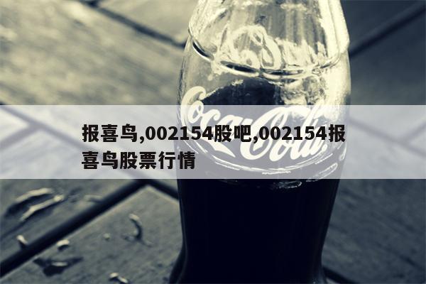 报喜鸟,002154股吧,002154报喜鸟股票行情