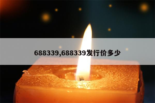 688339,688339发行价多少